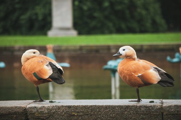What are the best locations for birdwatching in the Norfolk Broads National Park?