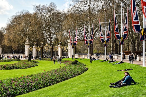 Which gardens in the UK offer special tours focusing on rare plant species?